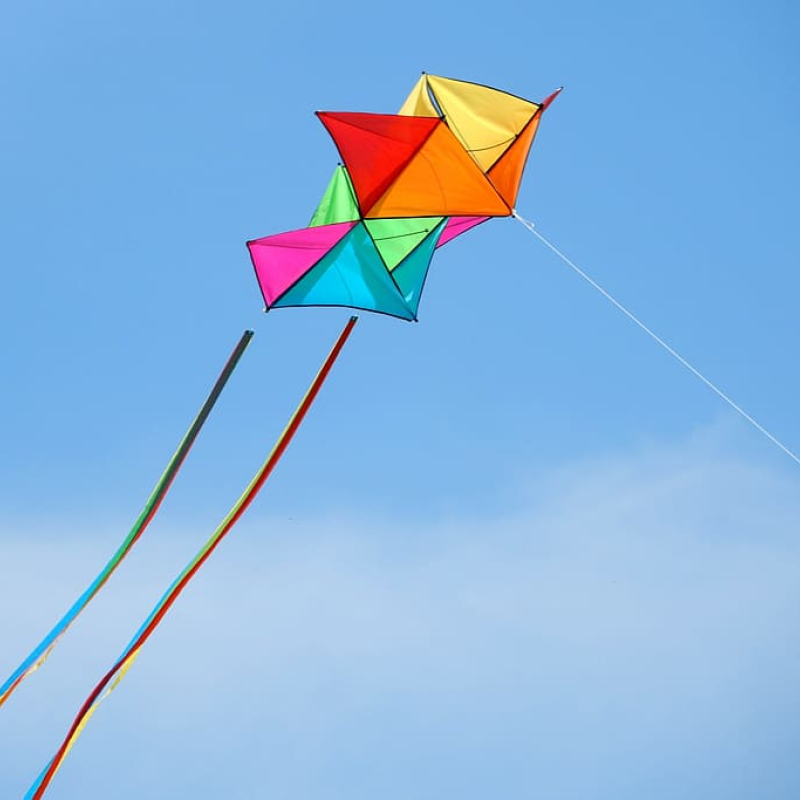 A History of Kite Flying in India Sahapedia